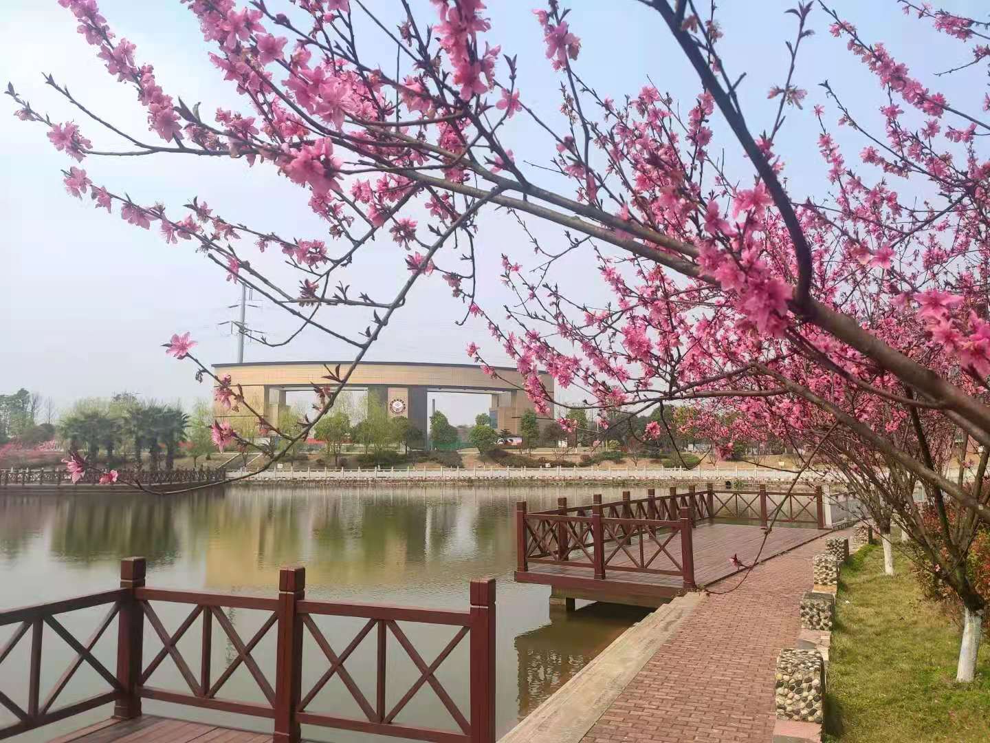 临床检验技术课程封面