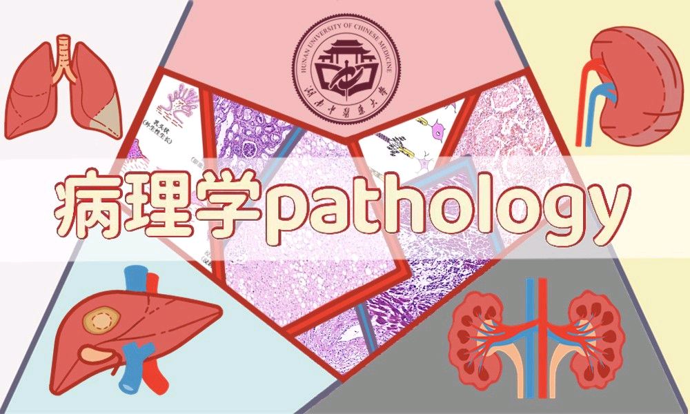 病理学（2023上）课程封面