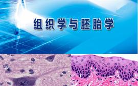 2023级《组织学与胚胎学》 （临床、麻醉、影像、精卫、口腔医学专业）新版大纲 建设中课程封面