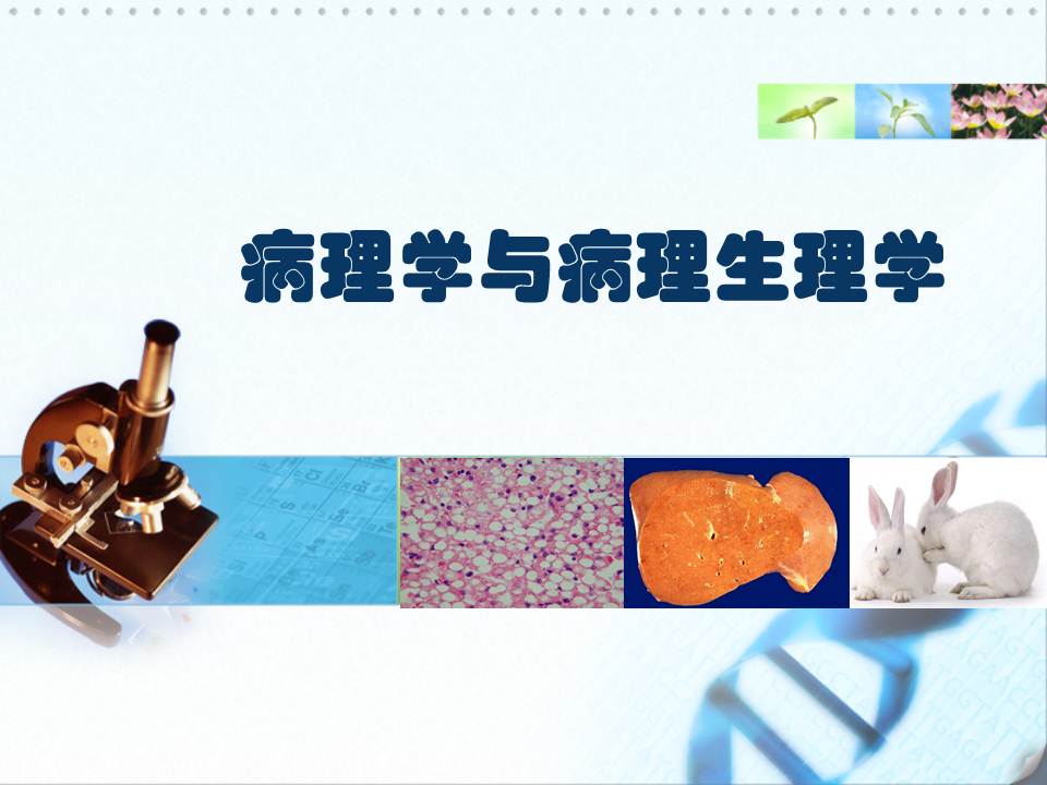 病理学与病理生理学（本科）课程封面