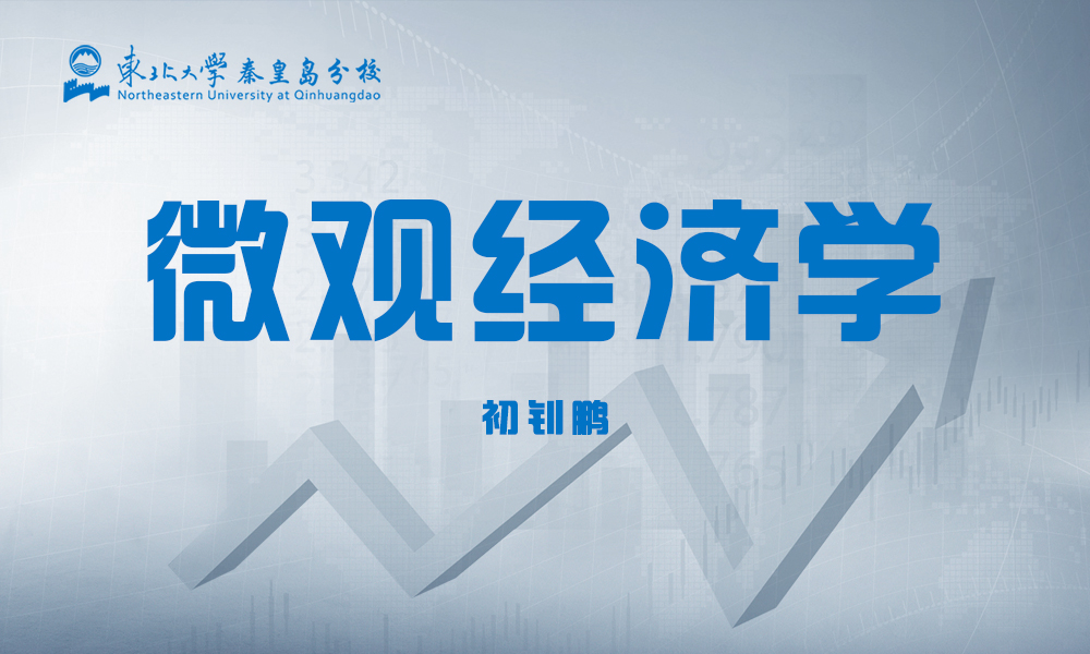微观经济学课程封面