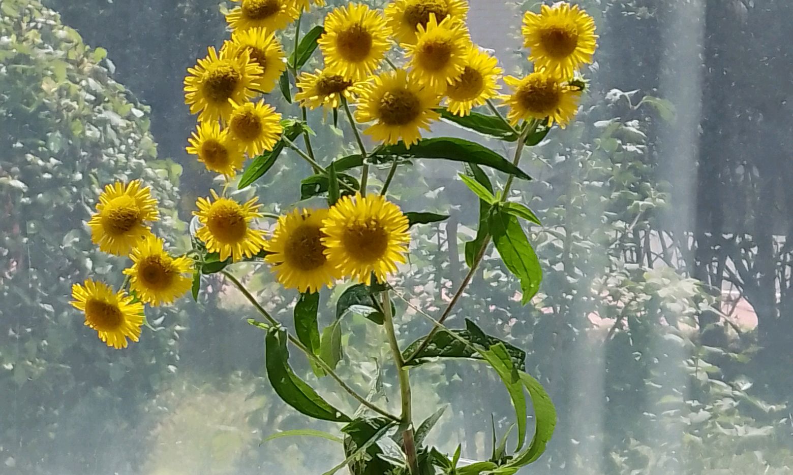 植物生理学课程封面