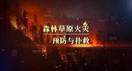 森林草原火灾预防与扑救课程封面