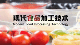 现代食品加工技术（食品加工新技术）课程封面
