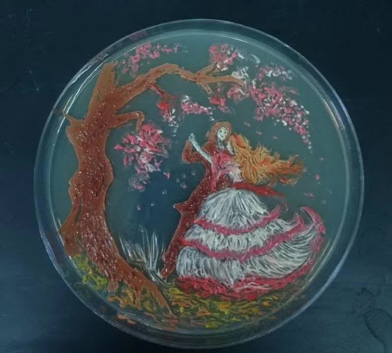 微生物学检验课程封面