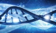 医学生物化学与分子生物学课程封面