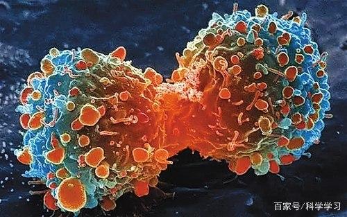 细胞生物学课程封面