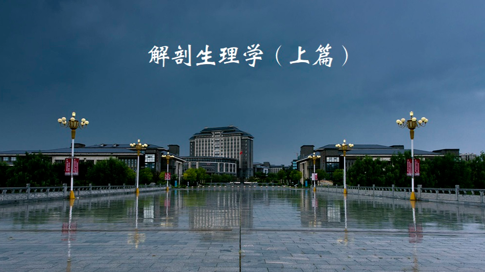 解剖生理学（上篇）课程封面