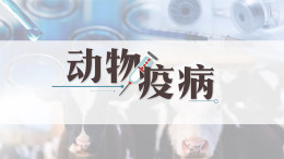 动物疫病课程封面