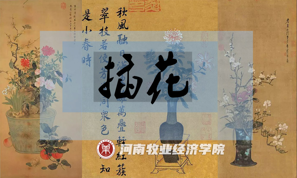 插花课程封面