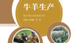 养牛技术课程封面