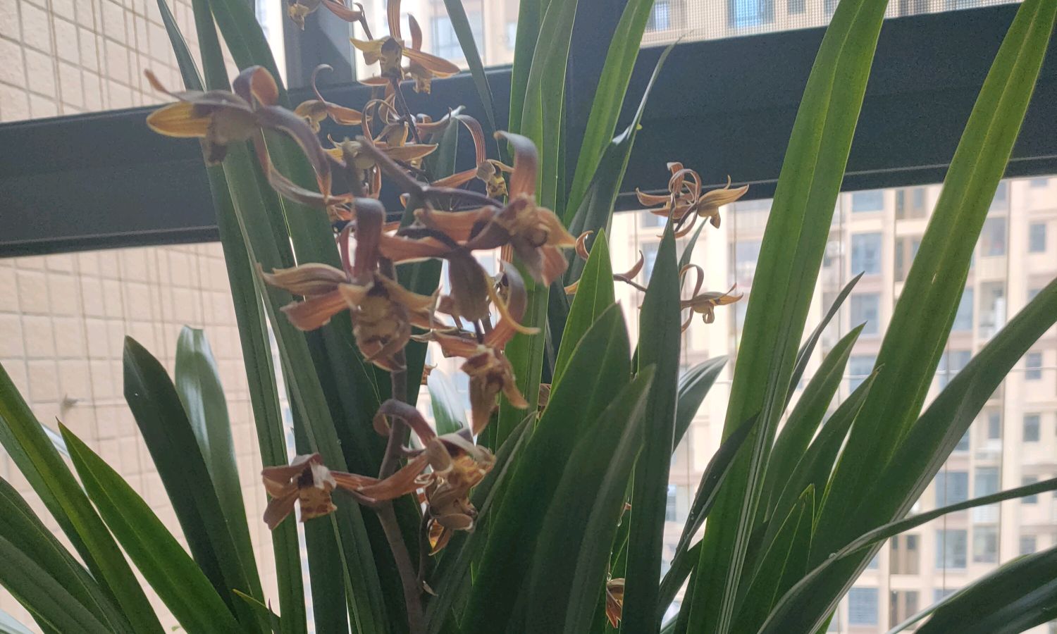 商务礼仪课程封面