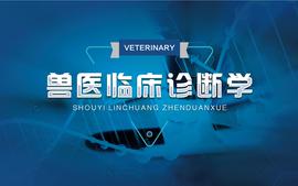 兽医临床诊断学-2023秋课程封面