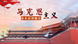 马克思主义基本原理概论（渭南师范学院）课程封面
