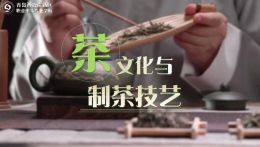 茶文化与制茶技艺课程封面
