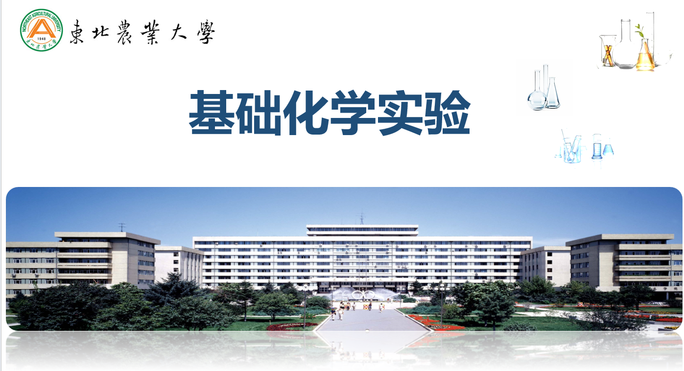 基础化学实验II课程封面