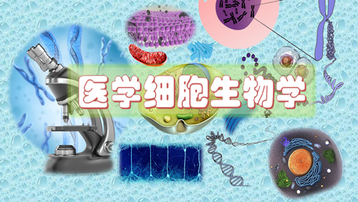 医学细胞生物学（第11次开课）课程封面