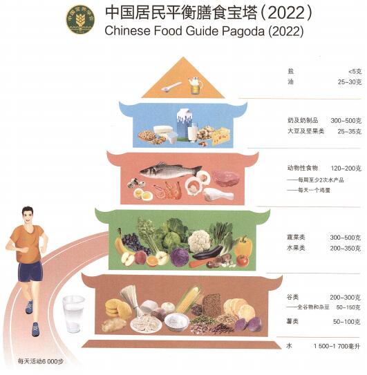食品营养学课程封面