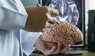 《人体形态学（解剖学）》实验课程封面
