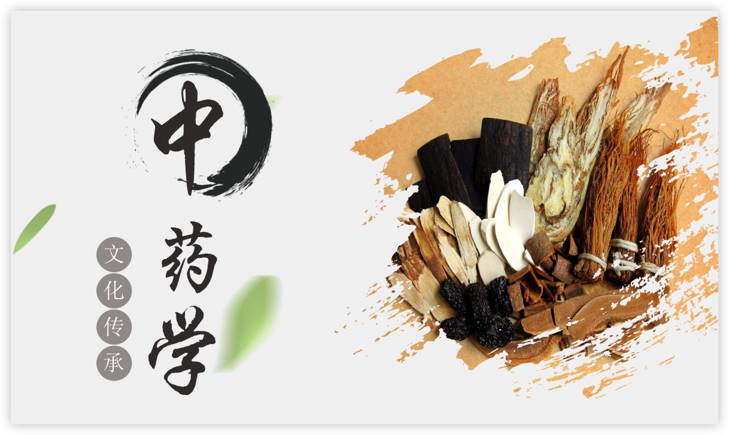 中药学课程封面