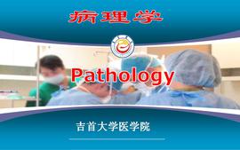 病理学（2023）课程封面