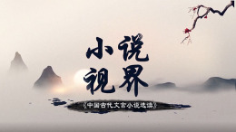 小说视界课程封面