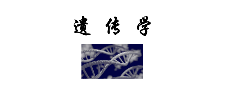 遗传学课程封面