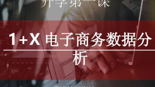 电子商务数据分析实践（中级）课程封面