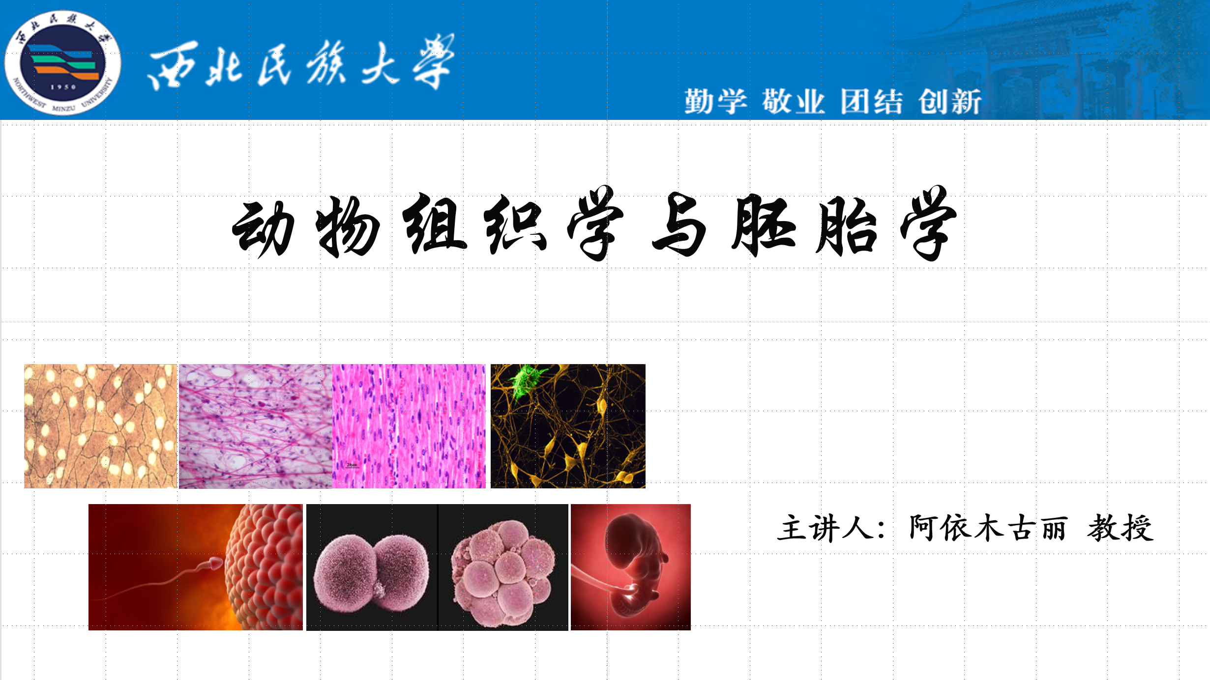 动物组织学与胚胎学课程封面
