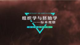 组织学与胚胎学——标本观察课程封面