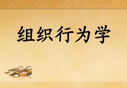 230025组织行为学课程封面