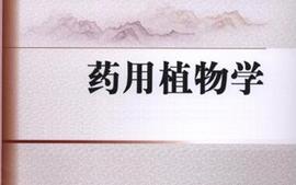 药用植物学（2021级）课程封面