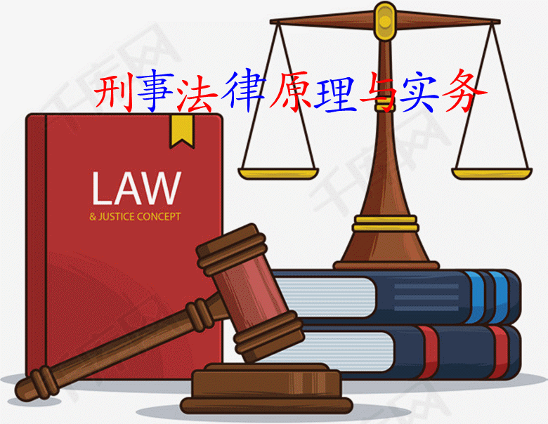 刑事法律原理与实务课程封面