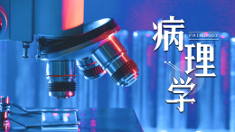 病理学（延边大学）课程封面