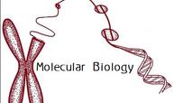 分子生物学*课程封面