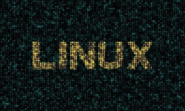Linux系统应用课程封面