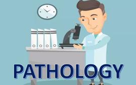 Pathology(21基础)课程封面