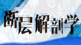断层解剖学课程封面