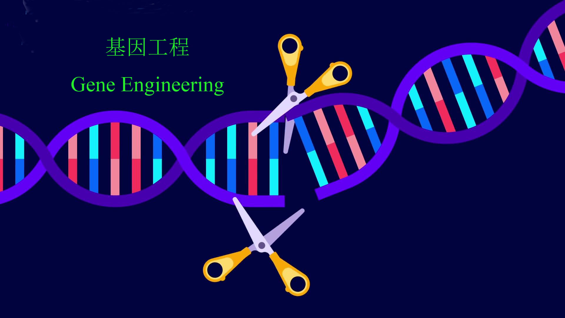 基因工程-2023年春～21生物工程课程封面
