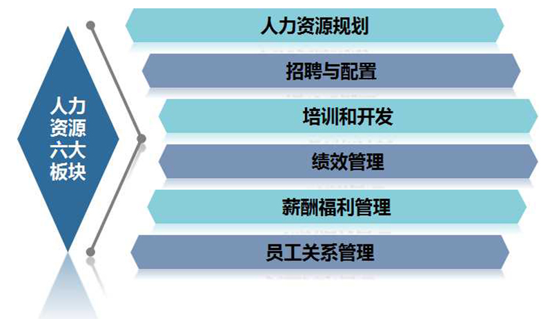 人力资源开发与管理课程封面