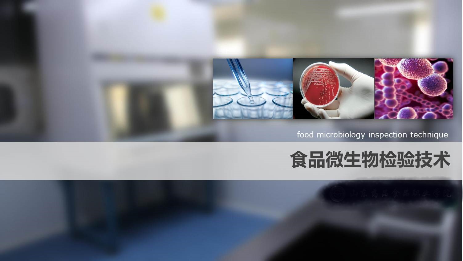 食品微生物检验技术（2024年春季学期）课程封面