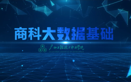大数据技术基础（商科）课程封面