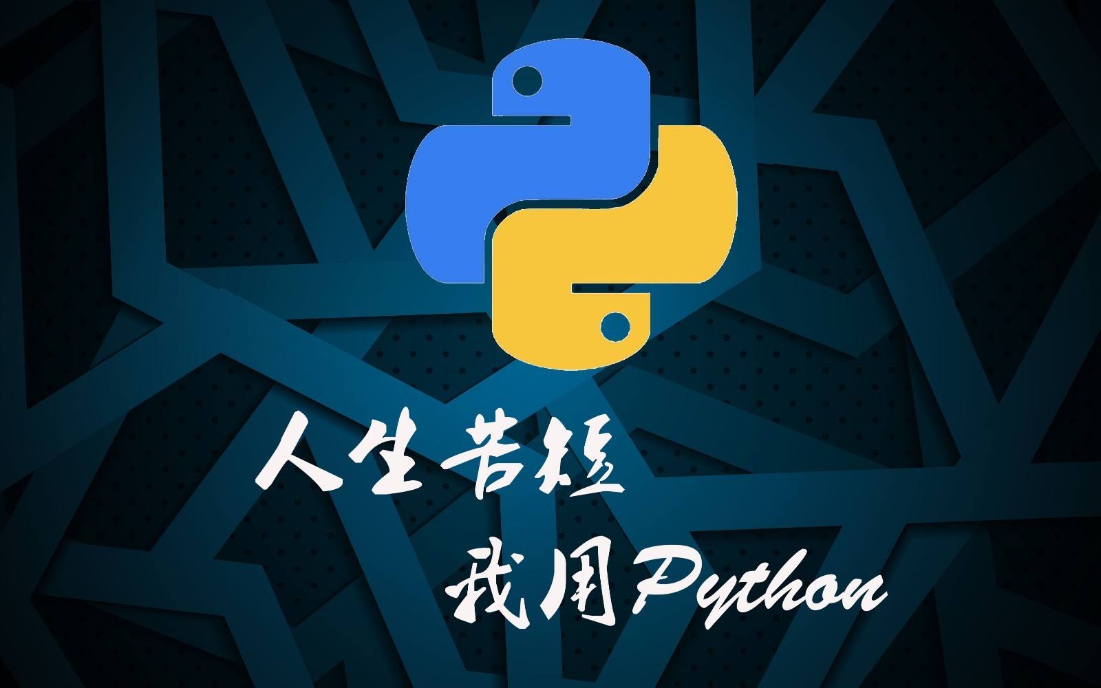 Python语言程序设计课程封面
