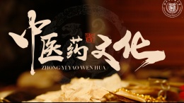 中医药文化课程封面