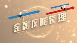 [共享课]金融风险管理课程封面