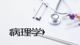 病理学（潍坊医学院）课程封面