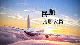 [共享课]民航求职实务课程封面