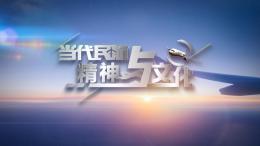 当代民航精神与文化课程封面