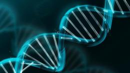 分子生物学（山东联盟-山东第一医科大学）课程封面