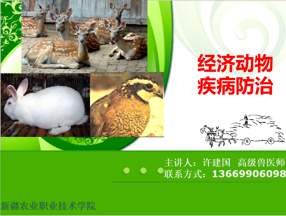 经济动物疾病防治课程封面